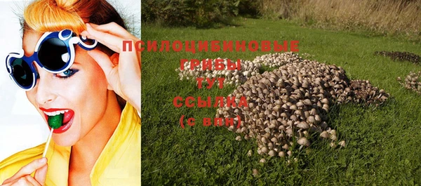 трава Алзамай