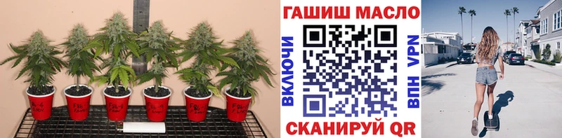 ТГК жижа  KRAKEN tor  Ленинградская 