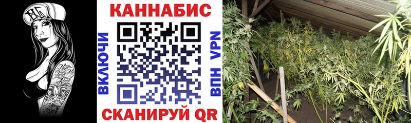 Бошки Шишки Ganja Ленинградская